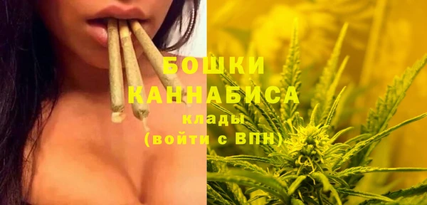 хмурый Вязники